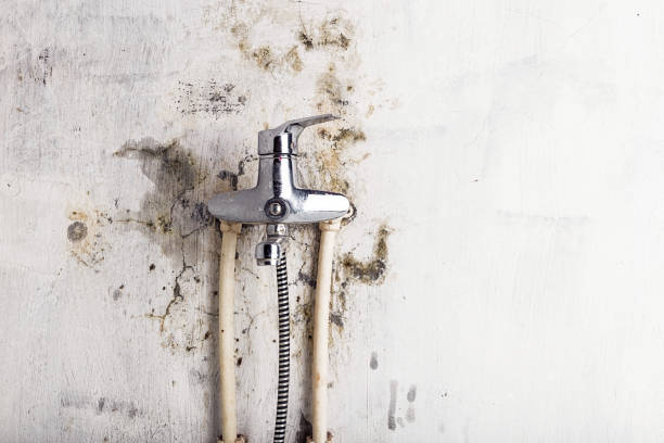 Best Mold Removal and Inspection  in Towamensing Trails, PA