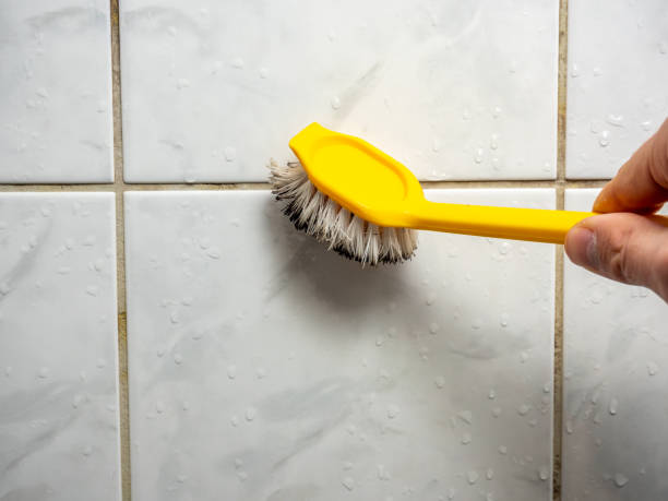 Best Residential Mold Removal  in Towamensing Trails, PA