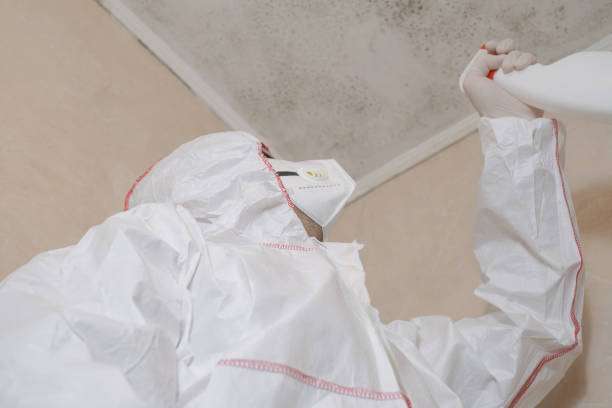 Office Mold Removal Services in Towamensing Trails, PA
