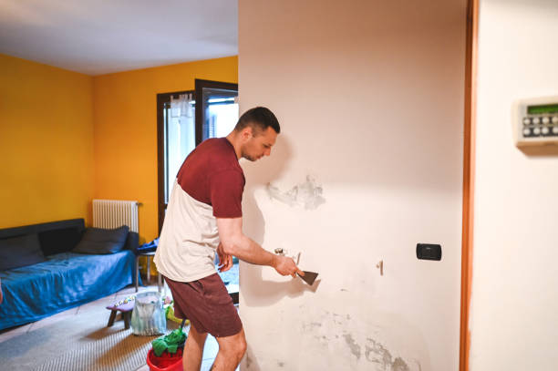 Best Fast Mold Removal  in Towamensing Trails, PA